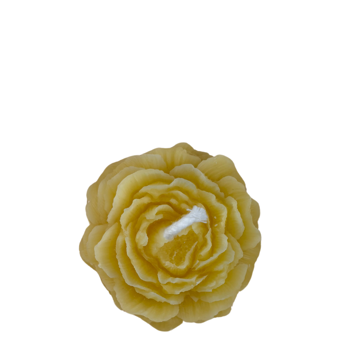 Pollen and Hive - Peony Candle